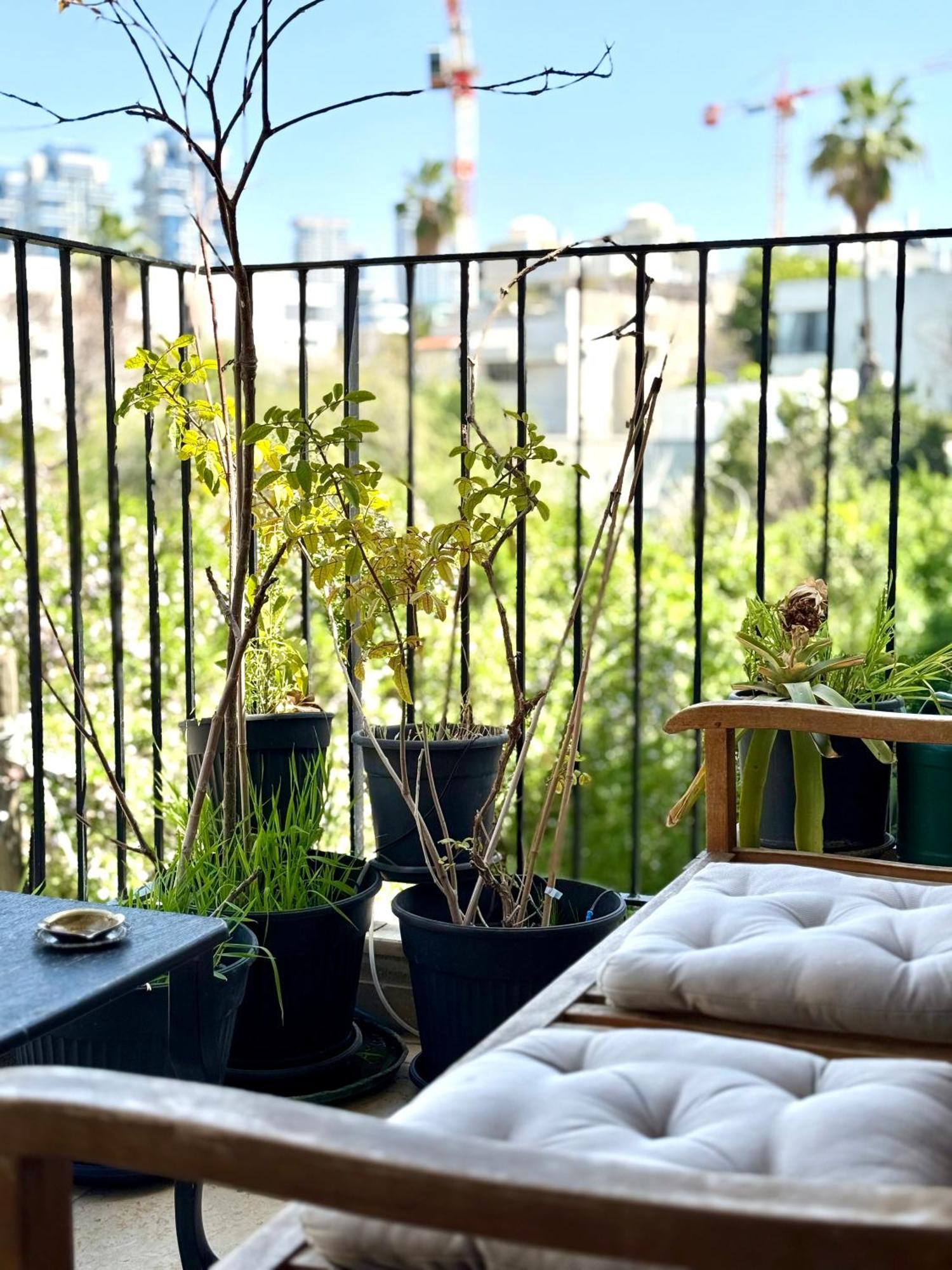Lovely 1-bedroom In The Location Apartment